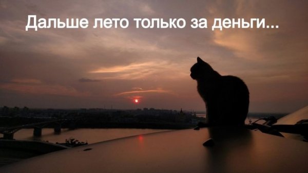 62b4eebfef luchshie-memy-v-bolshoj-podborke-jumora-16