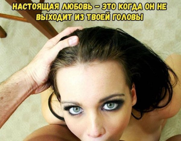 Eb30076187 bolshoj-sbornik-jumora-dlja-ponimajuschih-0000