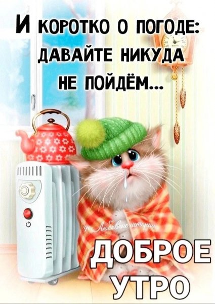 IMG 20260327 115824 948