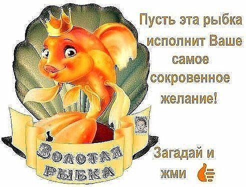 Золотая Рыбка