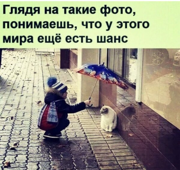 2CAE6F3E-3B20-4473-AA47-A6E0CA4C90B7