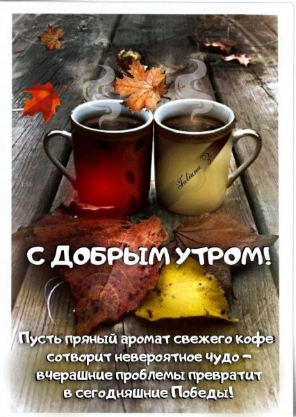 Друзья мои!