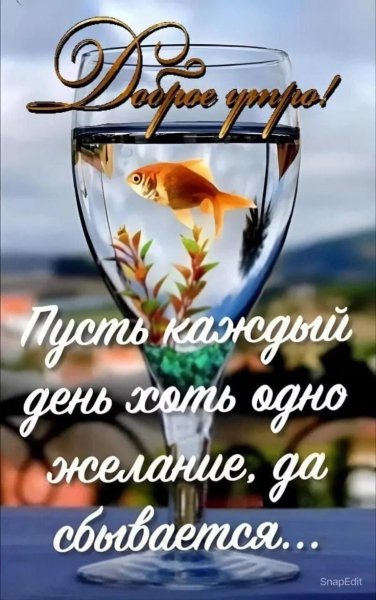 Доброе утро