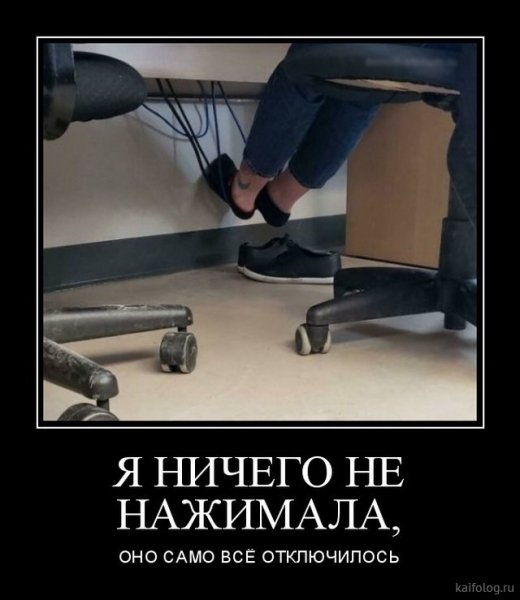 picture_381899680