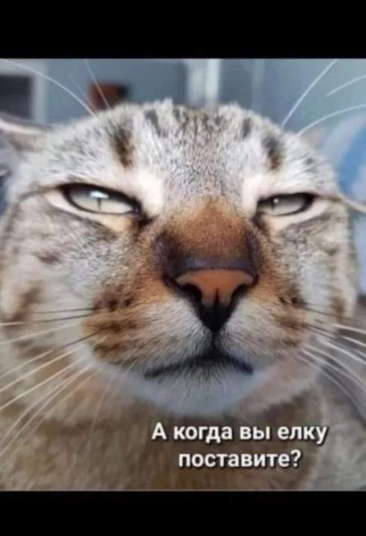 FB IMG 1728705888593