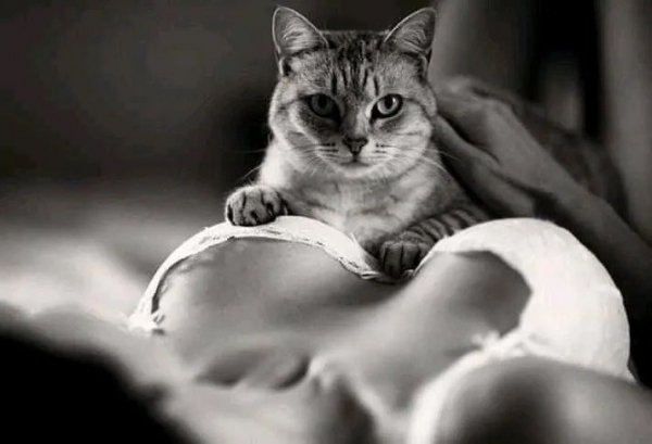 IMG 20250228 094553 323