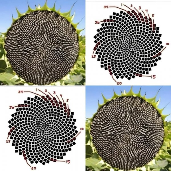 -gDXALKkAL8k2fvtQZtxCSeRObO1SZ4ltR uyr7BGgj82abXv18vFf7S7Cfg