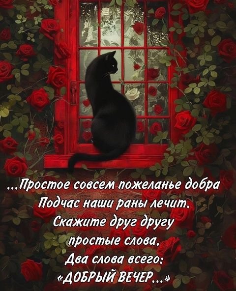 Добрый Вечер