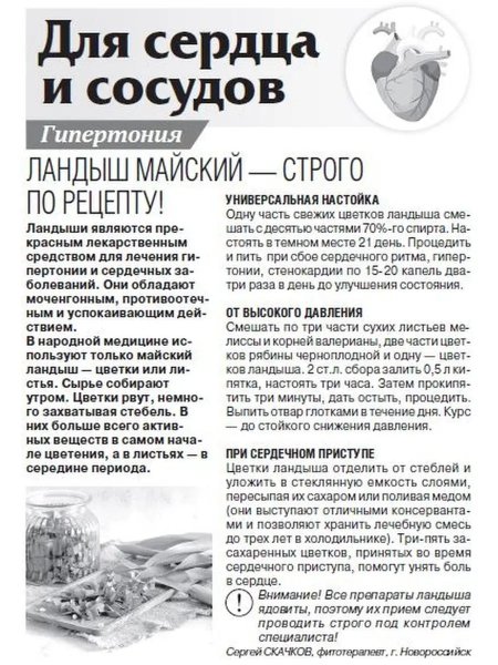 Ландыш майский