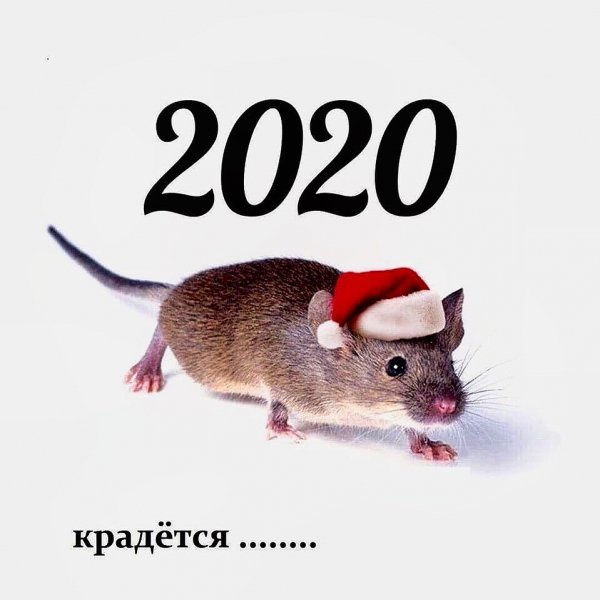 IMG 20191127 201148 987