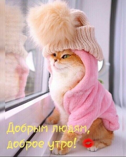 IMG-20211221-WA0000