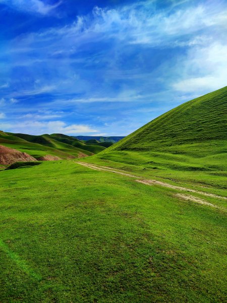 Живая природа весна 2023г