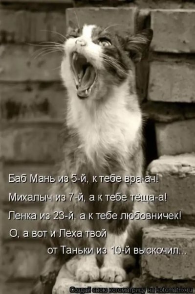 )))))))