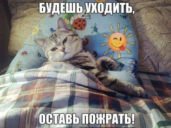 9f79f2f5ce8c8dab6f4dcce2bdcf2592