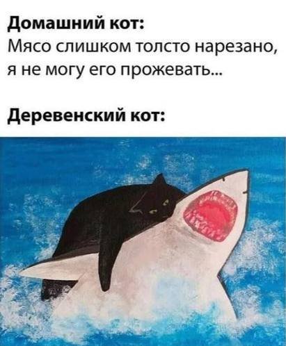 IMG 20241017 205743 033