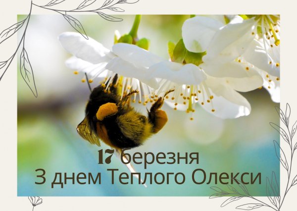 З днем теплого Олекси