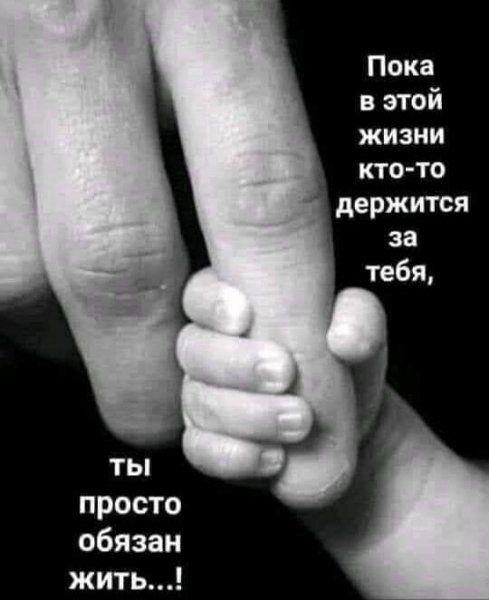 15-59-02-240435312 543727350200134 8907887809025604214 n