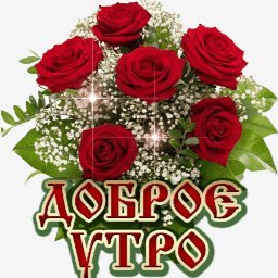 доброе утро