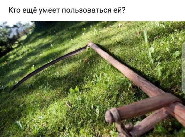 Screenshot 20210412-095050 1