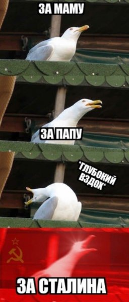 19c5b2c4e8486a9110eb9edefaa3543d