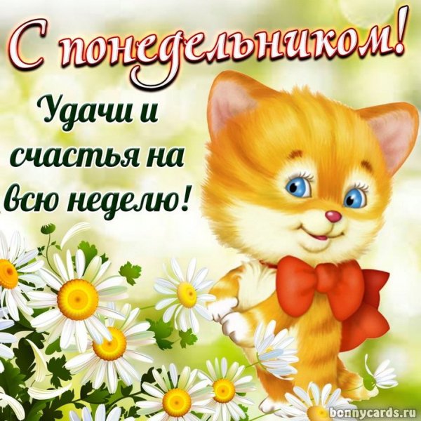 C91346a5042a0d7bc3119db337bac6ed