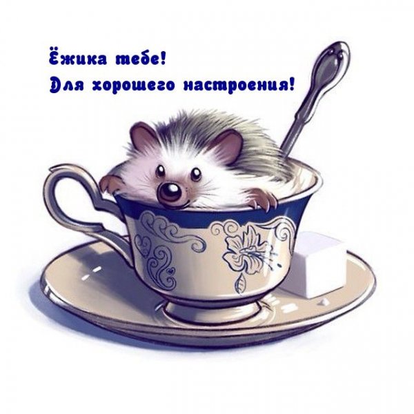 b4c2ab5be313d39744fe4d8b