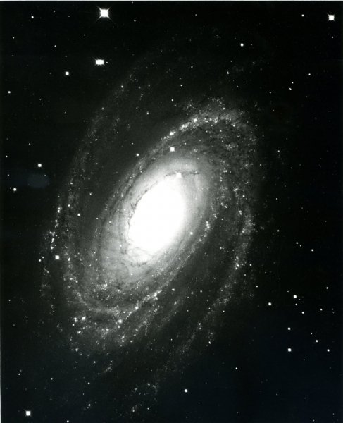 IMG 20250209 112827 993