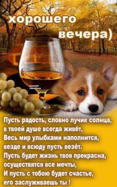 Друзья мои!