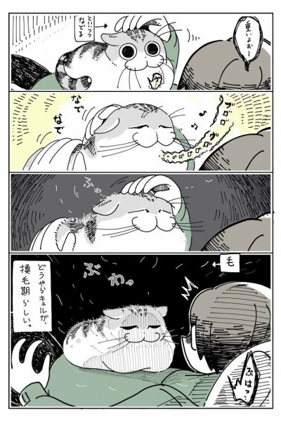 C26326744e504f4910eb645753d59f03