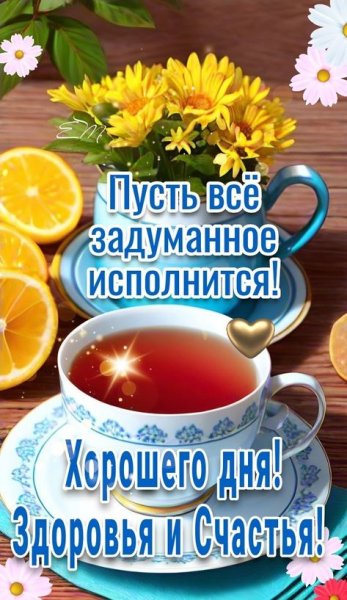 Друзья мои!