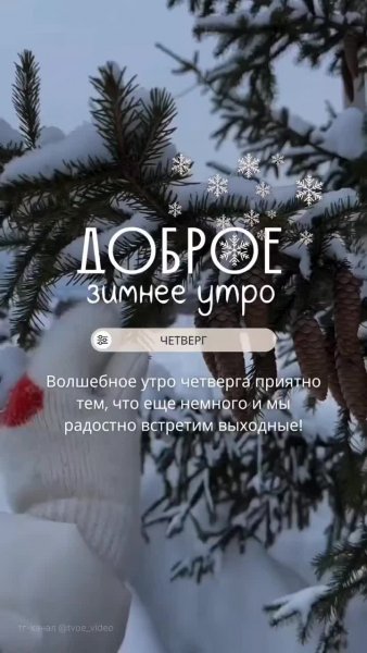 Друзья мои!