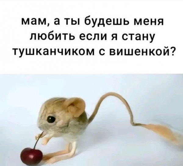 IMG 20241031 122517 608