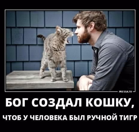 picture_237257845