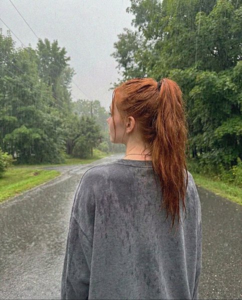 Лиса под дождем