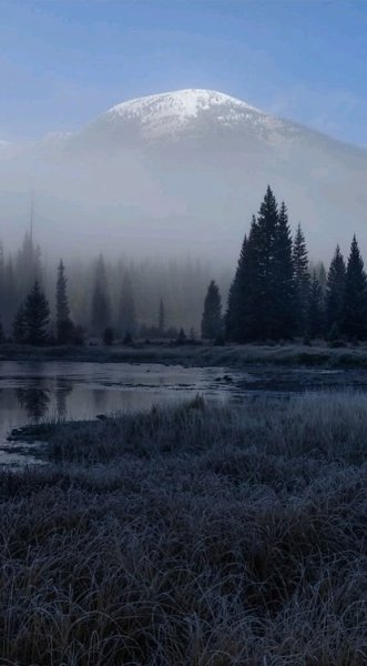 Арт Природа