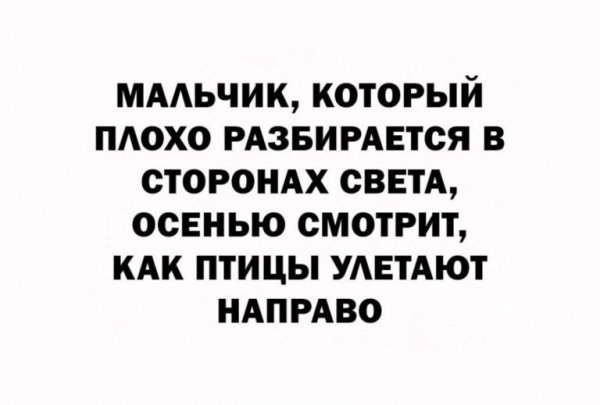 Img 1043-768x519