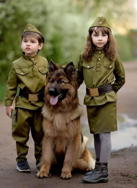 Надежная защита растет!