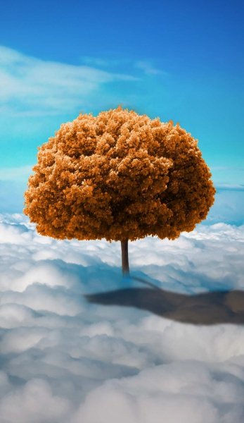 Screenshot 20260203-130524 One UI Home