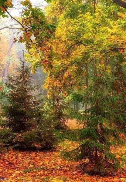 19-02-58-251252527 440843377465626 6736288443338349668 n