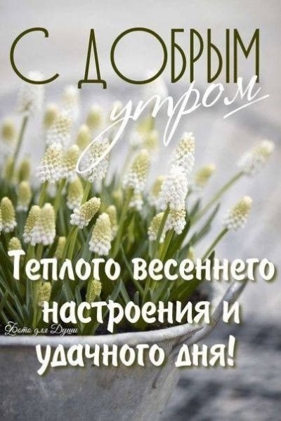 picture_409997841