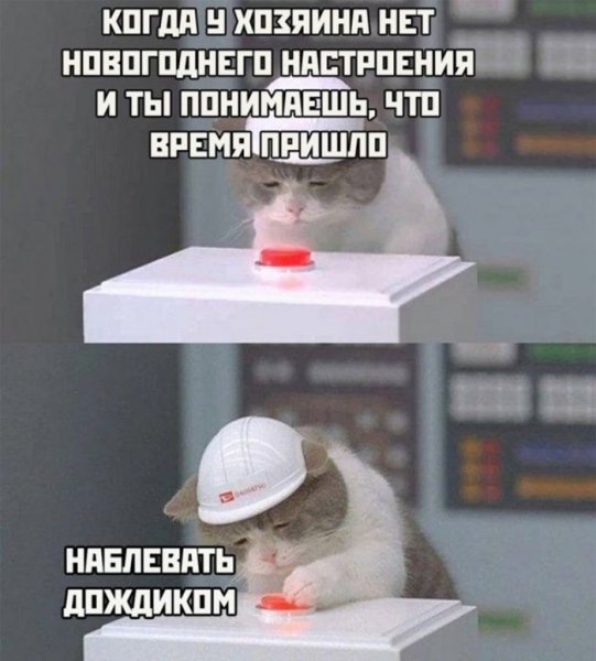Nastroenija-memy-i-kartinki-kotorye-pojmut-tolko-vzroslye-7