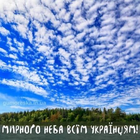 Mirnogo-neba-nad-golovoj-kartinka-9