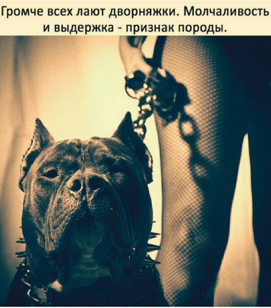 66e3ad8234c0cd41e01f0fa0b57213ed