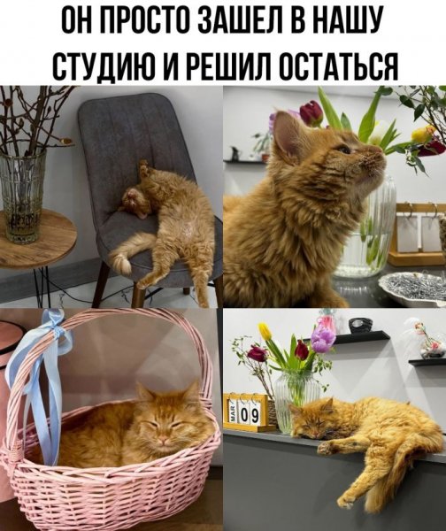 Samye-smeshnye-memy-iz-interneta-prikoly-v-kartinkah-2