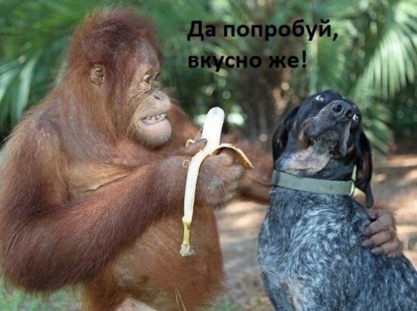 Images 9880