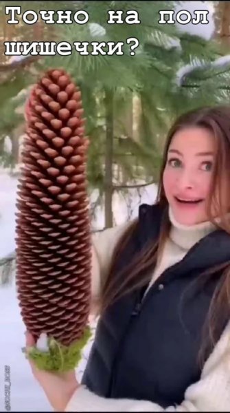 Smeshnye-i-slegka-neprilichnye-kartinki-33