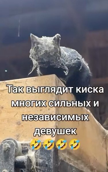 IMG 20260428 132622