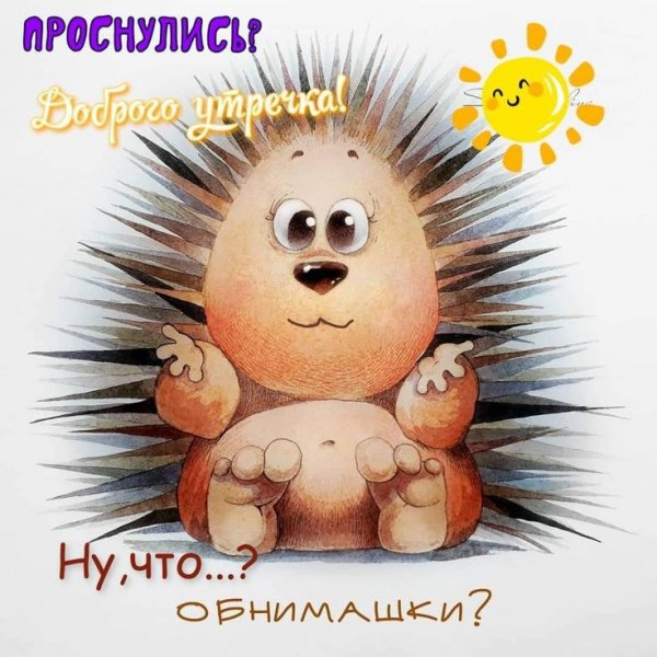 6facf1c1652b0deb7d354edd02c1b48e