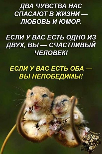 С юморм по жизни