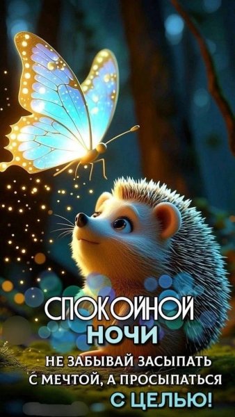 IMG 20260325 204428 173